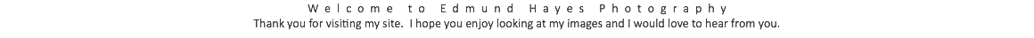 Welcome to Edmund Hayes Photography Thank you for visiting my site. I hope you enjoy looking at my images and I would love to hear from you.